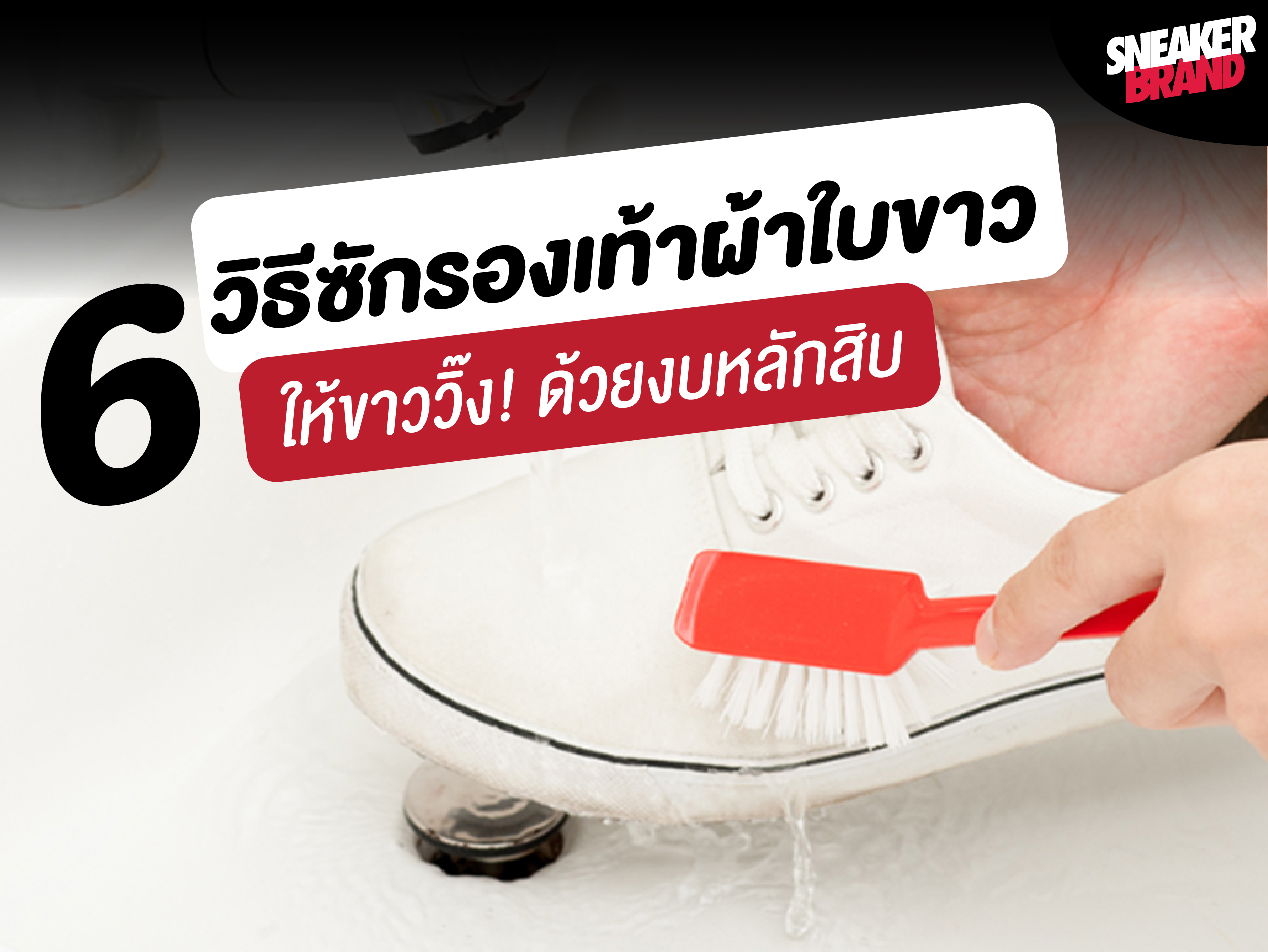 Images/Blog/SrH9gkLq-6วิธีซักรองเท้า-04.jpg